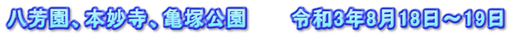 八芳園、本妙寺、亀塚公園　　　令和3年8月18日～19日