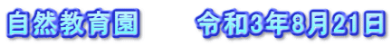 自然教育園　　　令和3年8月21日