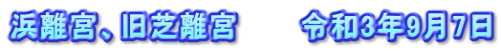 浜離宮、旧芝離宮　　　令和3年9月7日