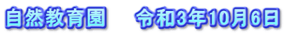 自然教育園　　令和3年10月6日