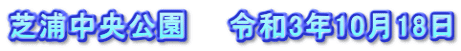 芝浦中央公園　　令和3年10月18日