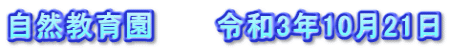 自然教育園　　　令和3年10月21日
