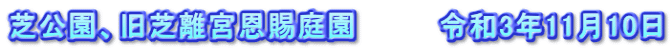 芝公園、旧芝離宮恩賜庭園　　　　令和3年11月10日