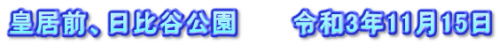 皇居前、日比谷公園　　　令和3年11月15日