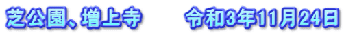 芝公園、増上寺　　　令和3年11月24日
