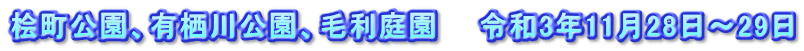 桧町公園、有栖川公園、毛利庭園　　令和3年11月28日～29日