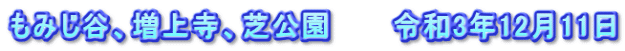 もみじ谷、増上寺、芝公園　　　令和3年12月11日