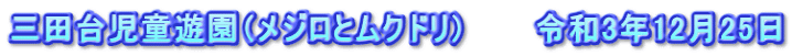 三田台児童遊園（メジロとムクドリ）　　　令和3年12月25日