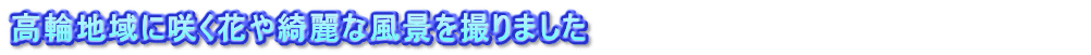 高輪地域に咲く花や綺麗な風景を撮りました　　　　　　　　　　　　　　　　　　　　　　