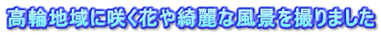 高輪地域に咲く花や綺麗な風景を撮りました