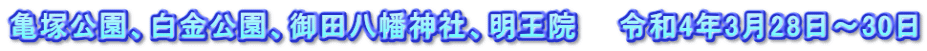 亀塚公園、白金公園、御田八幡神社、明王院　　令和4年3月28日～30日