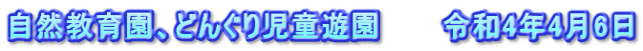 自然教育園、どんぐり児童遊園　　　令和4年4月6日