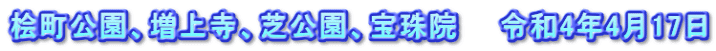 桧町公園、増上寺、芝公園、宝珠院　　令和4年4月17日