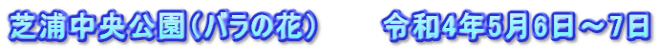 芝浦中央公園（バラの花）　　　令和4年5月6日～7日