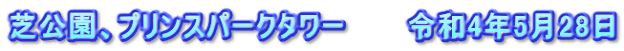 芝公園、プリンスパークタワー　　　令和4年5月28日