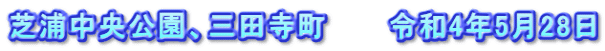 芝浦中央公園、三田寺町　　　令和4年5月28日