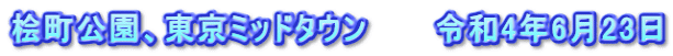 桧町公園、東京ミッドタウン　　　令和4年6月23日
