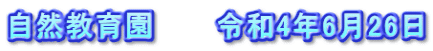 自然教育園　　　令和4年6月26日