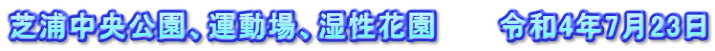 芝浦中央公園、運動場、湿性花園　　　令和4年7月23日