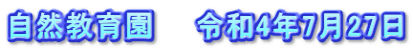 自然教育園　　令和4年7月27日
