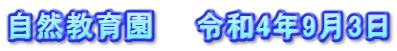 自然教育園　　令和4年9月3日