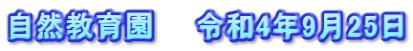自然教育園　　令和4年9月25日
