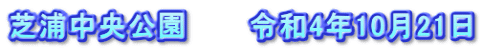 芝浦中央公園　　　令和4年10月21日