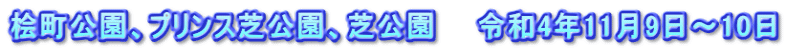 桧町公園、プリンス芝公園、芝公園　　令和4年11月9日～10日