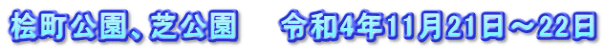桧町公園、芝公園　　令和4年11月21日～22日