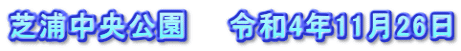 芝浦中央公園　　令和4年11月26日