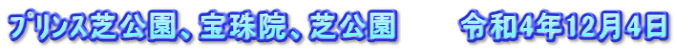 ﾌﾟﾘﾝｽ芝公園、宝珠院、芝公園　　　令和4年12月4日