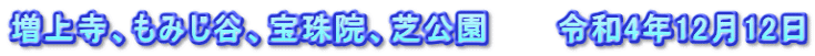 増上寺、もみじ谷、宝珠院、芝公園　　　令和4年12月12日