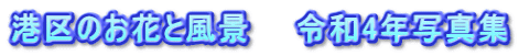 高輪地域の花や風景：抜粋（令和4年春～夏）