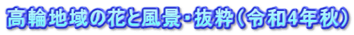 高輪地域の花と風景・抜粋（令和4年秋）