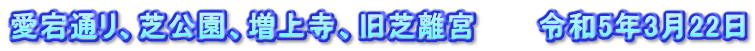 愛宕通リ、芝公園、増上寺、旧芝離宮　　　令和5年3月22日