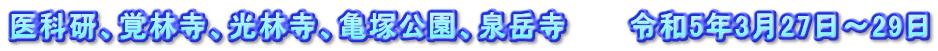 医科研、覚林寺、光林寺、亀塚公園、泉岳寺　　　令和5年3月27日～29日