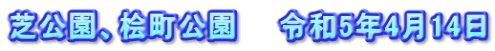 芝公園、桧町公園　　令和5年4月14日