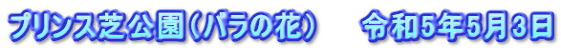 プリンス芝公園（バラの花）　　令和5年5月3日