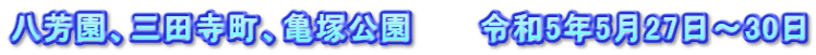 八芳園、三田寺町、亀塚公園　　　令和5年5月27日～30日