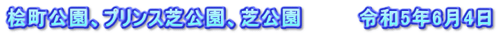 桧町公園、プリンス芝公園、芝公園　　　　令和5年6月4日
