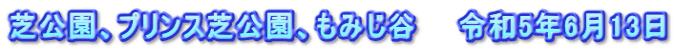 芝公園、プリンス芝公園、もみじ谷　　令和5年6月13日