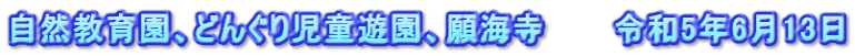 自然教育園、どんぐり児童遊園、願海寺　　　令和5年6月13日