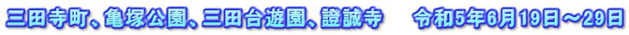 三田寺町、亀塚公園、三田台遊園、證誠寺　　令和5年6月19日～29日