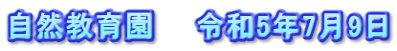 自然教育園　　令和5年7月9日