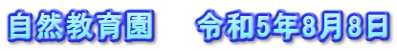 自然教育園　　令和5年8月8日