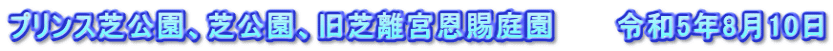 プリンス芝公園、芝公園、旧芝離宮恩賜庭園　　　令和5年8月10日