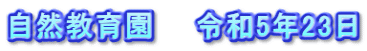 自然教育園　　令和5年23日