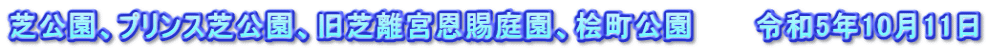 芝公園、プリンス芝公園、旧芝離宮恩賜庭園、桧町公園　　　令和5年10月11日
