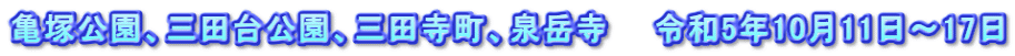 亀塚公園、三田台公園、三田寺町、泉岳寺　　令和5年10月11日～17日