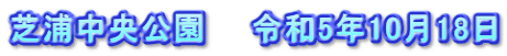 芝浦中央公園　　令和5年10月18日